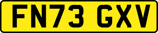 FN73GXV