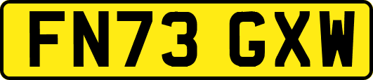 FN73GXW