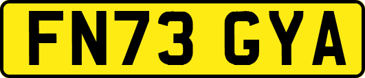 FN73GYA