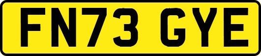 FN73GYE