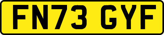 FN73GYF