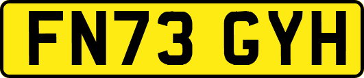 FN73GYH