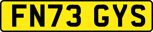 FN73GYS