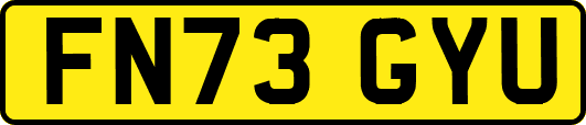 FN73GYU