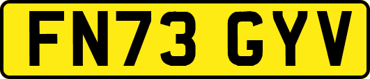 FN73GYV