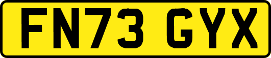 FN73GYX