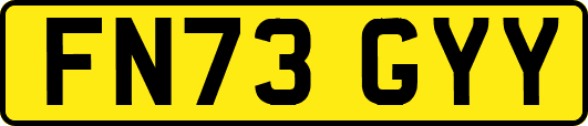 FN73GYY