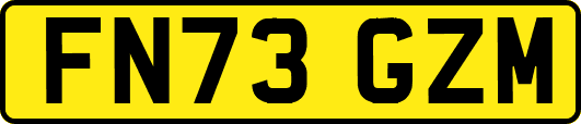 FN73GZM