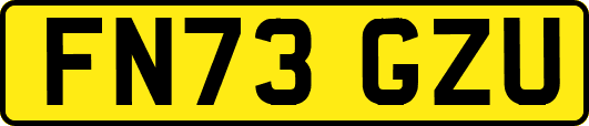 FN73GZU