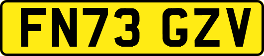 FN73GZV