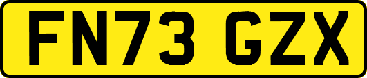 FN73GZX