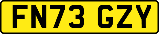 FN73GZY
