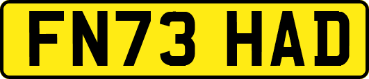 FN73HAD