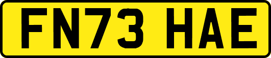 FN73HAE