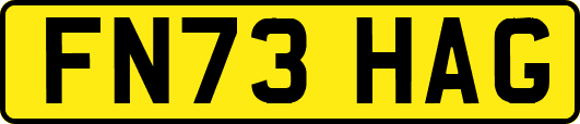 FN73HAG