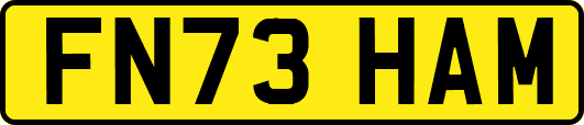 FN73HAM