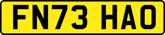 FN73HAO