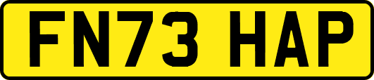 FN73HAP