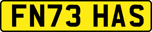 FN73HAS