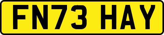 FN73HAY