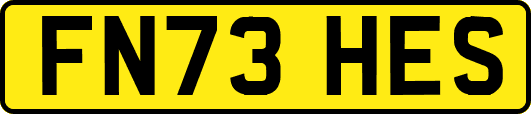 FN73HES