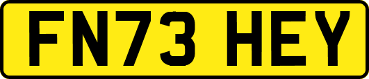 FN73HEY