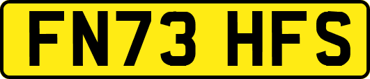 FN73HFS