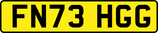 FN73HGG