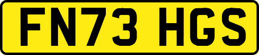 FN73HGS