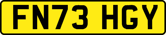 FN73HGY