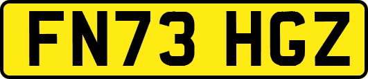 FN73HGZ
