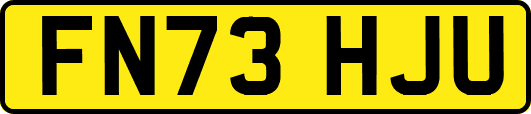 FN73HJU