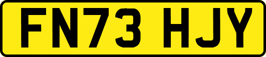 FN73HJY