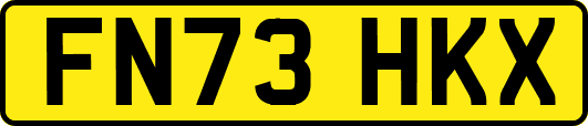 FN73HKX