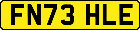 FN73HLE