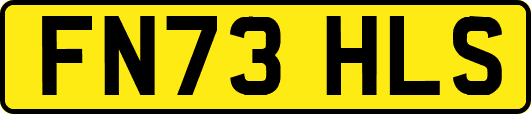 FN73HLS