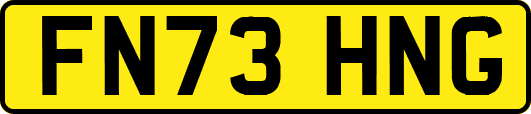 FN73HNG