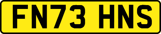 FN73HNS