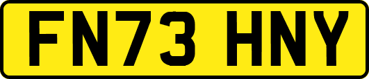 FN73HNY