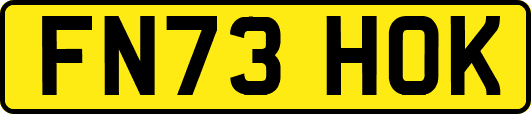FN73HOK