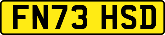 FN73HSD