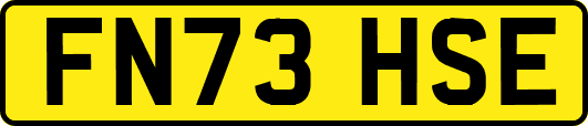 FN73HSE