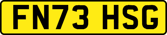 FN73HSG