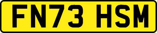 FN73HSM
