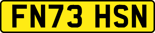 FN73HSN