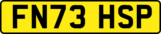 FN73HSP