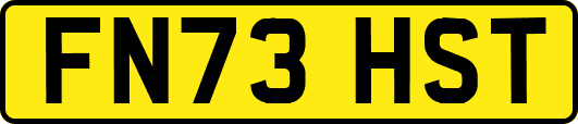 FN73HST