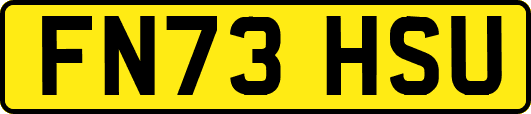 FN73HSU