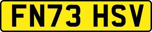FN73HSV