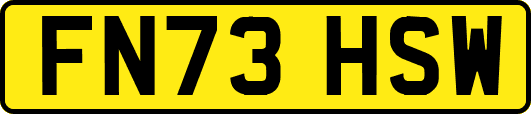 FN73HSW